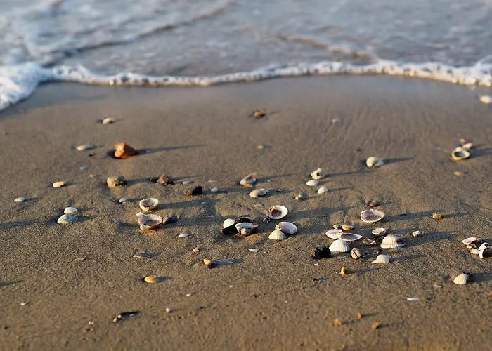 Appartamento Lovely Flat Just 150mt From The