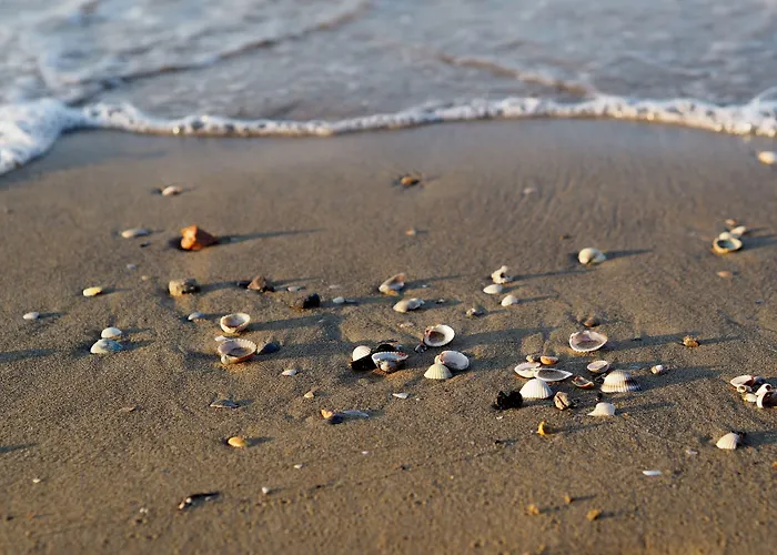 Appartamento Lovely Flat Just 150mt From The